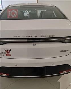 BYD Destroyer 05